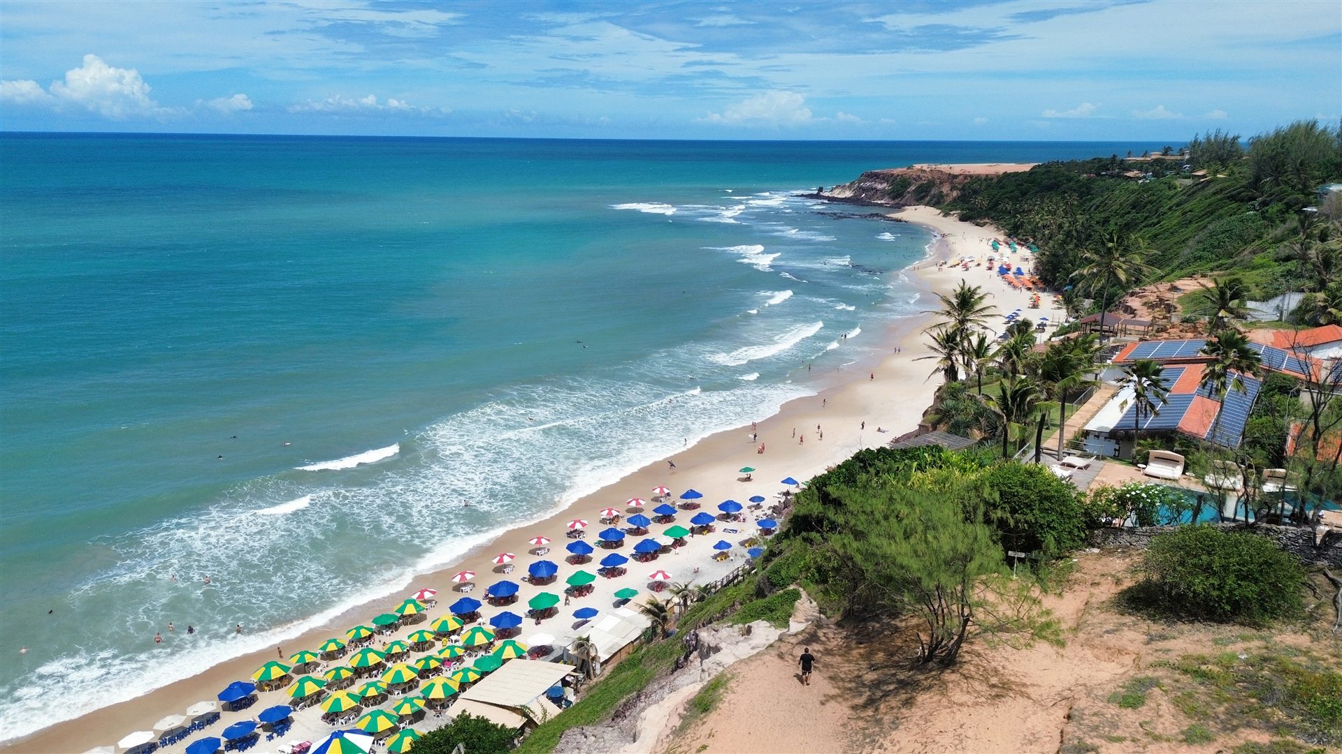 Falésias coloridas e coqueiros na Praia de Coqueirinho, litoral sul de João Pessoa